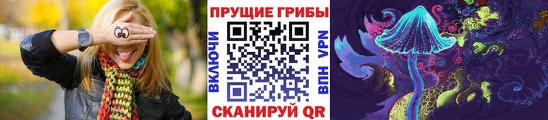 Купить закладки  Циолковский  Псилоцибиновые грибы MAGIC MUSHROOMS 